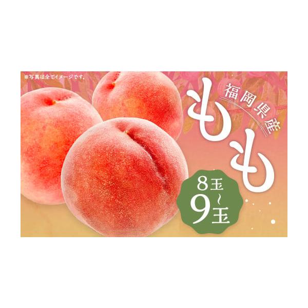 容量8玉〜9玉※梱包状態は時期に応じて変更あり消費期限賞味期限：5日発送期日2026年6月上旬から7月下旬順次発送予定配送冷蔵 別送申込期日2026年7月15日まで寄附受付事業者JAふくおか八女農産物等直売所「よらん野」申込条件何度も申し込...