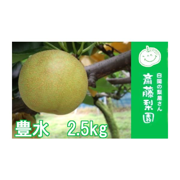 容量豊水秀品：約2.5kg（5〜7玉）※玉数は生育状況により前後する可能性がございます。※お届け日の指定はお受けできません。消費期限商品到着後お早めにお召し上がりください発送期日2026年9月上旬より発送配送常温 時間指定 別送申込期日20...