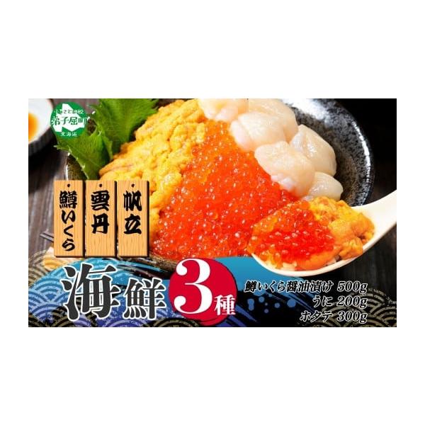 【ふるさと納税】 3628. 雲丹 100g ホタテ 200g 鱒いくら醤油漬け 100g 海鮮3種セット ウニ チリ産 冷凍 雲丹 鱒いくら いくら イクラ 鱒 ほたて 生ほたて 帆立 冷凍 海鮮 海鮮丼 北海道 弟子屈町