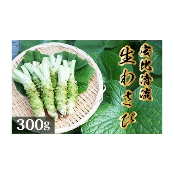容量生わさび300g品種：ファースト、正緑など※まれに茎の隙間に小さなミミズが入っていることがありますが、わさびに害はありませんので安心してお召し上がりください。水でよく洗い流してください。※季節によってわさびの色、形、大きさが多少異なりま...