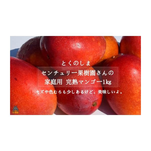 容量【セット内容】家庭用センチュリー果樹園さんの完熟マンゴー1kg（2玉〜3玉）※ご家庭用の為、多少の汚れや色むら、サイズのばらつきがあります。）消費期限【賞味期限】出荷日+冷蔵保存で約10日発送期日7月〜8月にかけてお申し込み順に配送致し...