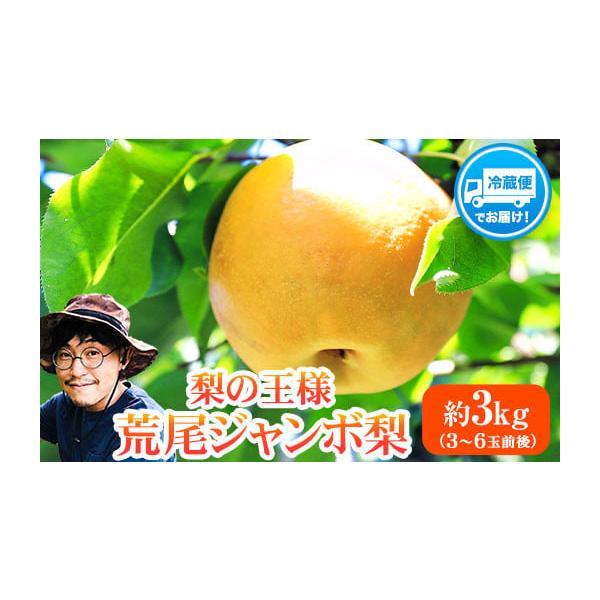 容量荒尾ジャンボ梨(新高)約3kg【3〜6玉前後】消費期限到着から1週間以内にお召し上がりください。発送期日2026年10月上旬-11月末頃出荷配送冷蔵 時間指定 別送事業者-申込条件何度も申し込み可、オンライン決済限定