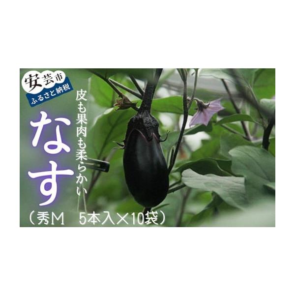 容量秀M5本入×10袋  ※秀Mサイズ：1本約75g前後消費期限発送から5日発送期日決済から14日前後で発送 ※10月上旬〜6月中旬の間のお届けとなります。配送常温 別送事業者一般社団法人　こうち絆ファーム申込条件何度も申し込み可、オンライ...