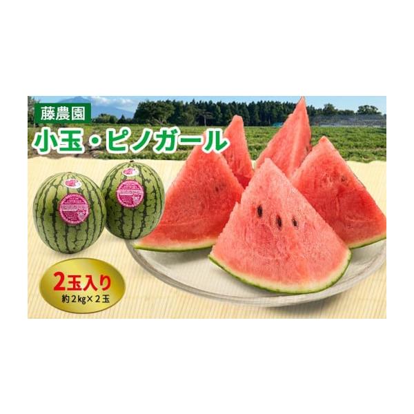 容量約2kg×2玉 (約4kg)消費期限発送日より6日※お早めにご賞味ください。発送期日発送期間：2026年7月下旬から2026年8月中旬まで順次発送(天候や収穫状況によって発送期間や規格が変更になる場合がございます)※離島へのお届けはでき...