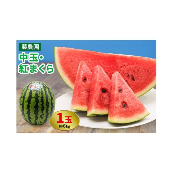 容量1玉：約6kg消費期限発送日より6日※お早めにご賞味ください。発送期日発送期間：2026年7月下旬から2026年8月中旬まで順次発送(天候や収穫状況によって発送期間や規格が変更になる場合がございます)※離島へのお届けはできません。※お届...