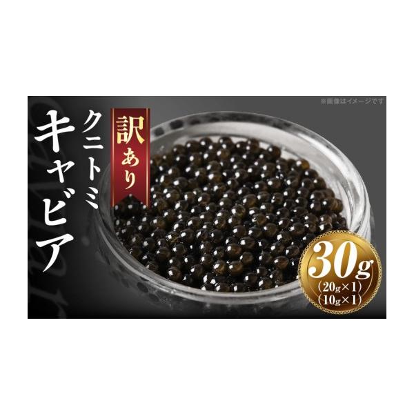 ふるさと納税 魚貝類 キャビア 宮崎県 国富町  訳あり クニトミキャビア 30gセット(20g×1+10g×1)
