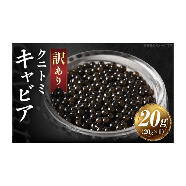 ふるさと納税 魚貝類 キャビア 宮崎県 国富町  訳あり クニトミキャビア 20g(20g×1)