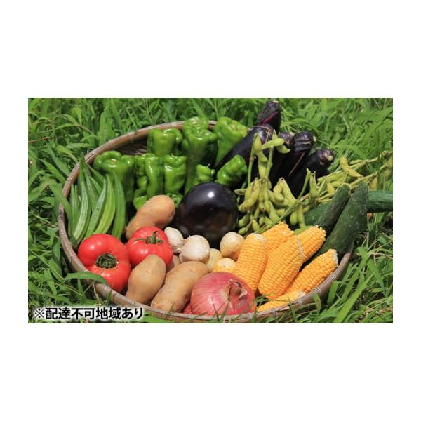 容量【7種類の新鮮野菜BOX】美味しい品種にこだわり、栽培期間中は農薬・化学肥料をできるだけ使わず栽培している野菜の中からその時々の旬のものを7種選び、産地直送でお届けします。●下記の内容をお読みいただき、ご了承いただいたうえでお申し込みく...