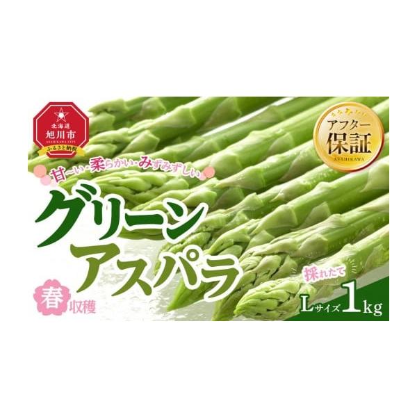容量グリーンアスパラ　L約1.0kg消費期限１週間発送期日2026年6月上旬から発送開始予定配送冷蔵 時間指定 別送申込期日〜2026年6月27日まで事業者株式会社マルマンフーズ申込条件何度も申し込み可、オンライン決済限定