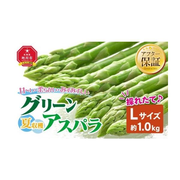 容量グリーンアスパラ　L（約1.0kg）消費期限１週間発送期日2026年7月上旬から発送開始予定配送冷蔵 時間指定 別送申込期日〜2026年7月18日まで事業者株式会社マルマンフーズ申込条件何度も申し込み可、オンライン決済限定