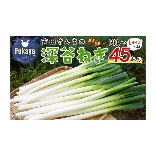 容量深谷ねぎL以上：45本〜30本入り消費期限3日※生鮮品のため、早めにお召し上がりください。発送期日2025年12月上旬〜2026年2月末までに発送※生育状況により多少前後する場合がございます。配送常温 時間指定 別送申込期日2026年2...
