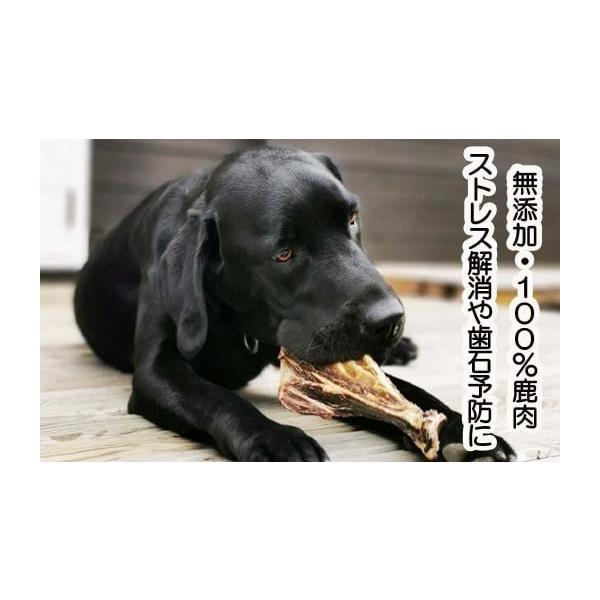 容量あばらジャーキー50g×2肩甲骨ジャーキー1本原材料　鹿肉原産国　日本原産地　岡山消費目処または賞味期限　製造から5か月（開封後は早めにご使用ください。）配送温度帯　常温加工者　エーゼロ株式会社　岡山県英田郡西粟倉村影石895消費期限製...