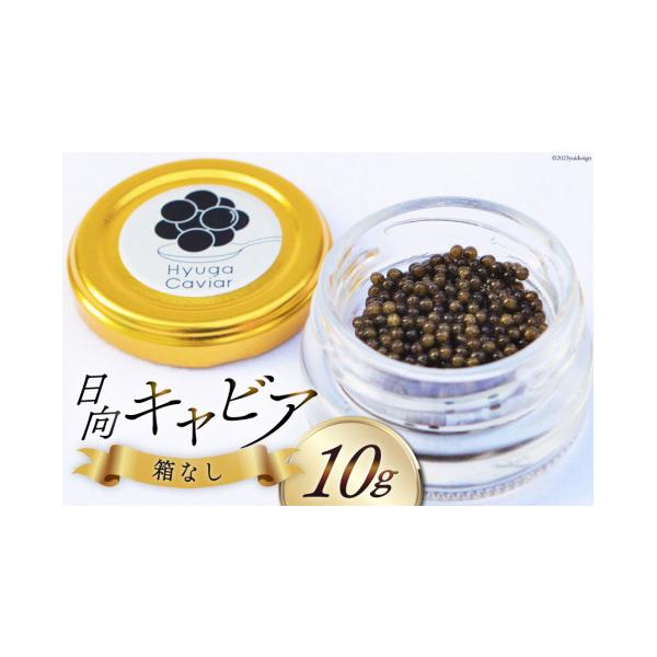 ふるさと納税 魚貝類 キャビア 宮崎県 日向市 キャビア 日向キャビア (Hyuga Caviar) 10g 箱なし ウィズ・クリエイティブ 宮崎県 日向市 452060889 冷凍 宮崎 …