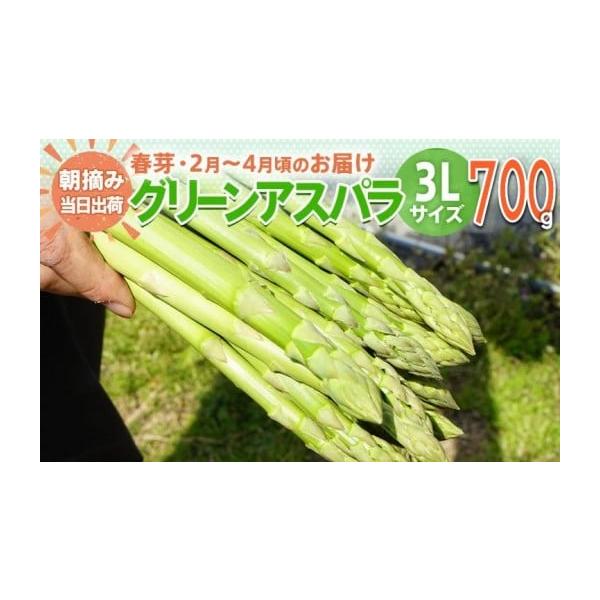 容量アスパラガス 春芽 3L 700g【2月〜4月お届け】消費期限出荷日+7日一度に食べきれない時はアスパラガスをラップに包み、冷蔵庫に立てて保存します。また、かために茹でたものをラップに包んで冷凍保存することもできます。発送期日2026年...