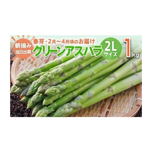 容量アスパラガス 春芽 2L 1kg【2月〜4月お届け】消費期限出荷日+7日一度に食べきれない時はアスパラガスをラップに包み、冷蔵庫に立てて保存します。また、かために茹でたものをラップに包んで冷凍保存することもできます。発送期日2026年2...