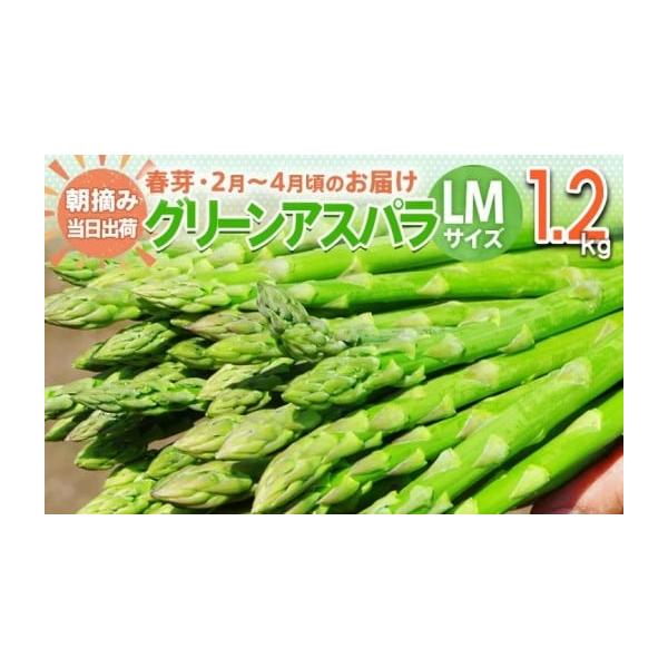 容量アスパラガス 春芽 LM 1kg【2月〜4月お届け】消費期限出荷日+7日一度に食べきれない時はアスパラガスをラップに包み、冷蔵庫に立てて保存します。また、かために茹でたものをラップに包んで冷凍保存することもできます。発送期日2026年2...