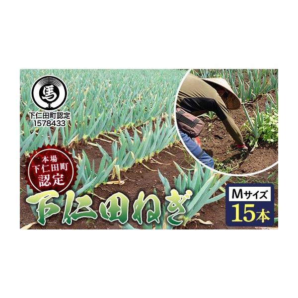 容量下仁田ねぎ Mサイズ 15本発送期日2025年12月1日〜2026年1月15日配送常温 時間指定 別送申込期日2025年8月1日〜12月31日までオンライン決済以外の支払方法を選択された場合は、12月31日までにお支払い手続きをお済ませ...