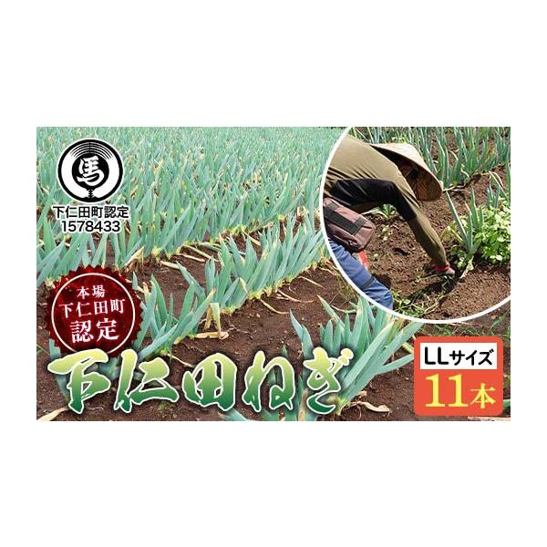 容量下仁田ねぎ LLサイズ 11本発送期日2025年12月1日〜2026年1月15日配送常温 時間指定 別送申込期日2025年8月1日〜12月31日までオンライン決済以外の支払方法を選択された場合は、12月31日までにお支払い手続きをお済ま...