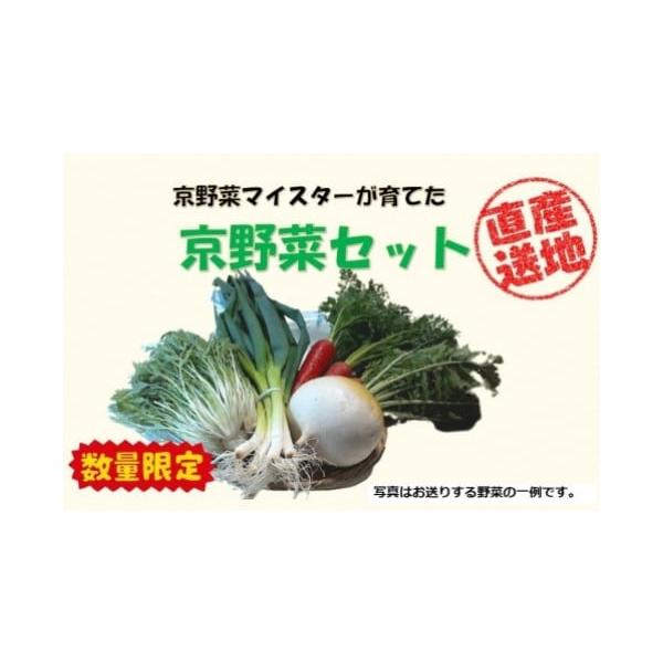 容量原産国／製造国：日本総個数：1総重量：1800g程度産地（都道府県）：京都府商品内容：九条太ねぎ・金時人参・聖護院大根または聖護院かぶ・壬生菜または水菜・里芋・他１〜２品※天候等の事情により、セット内容が変更になる場合があります。旬の時...