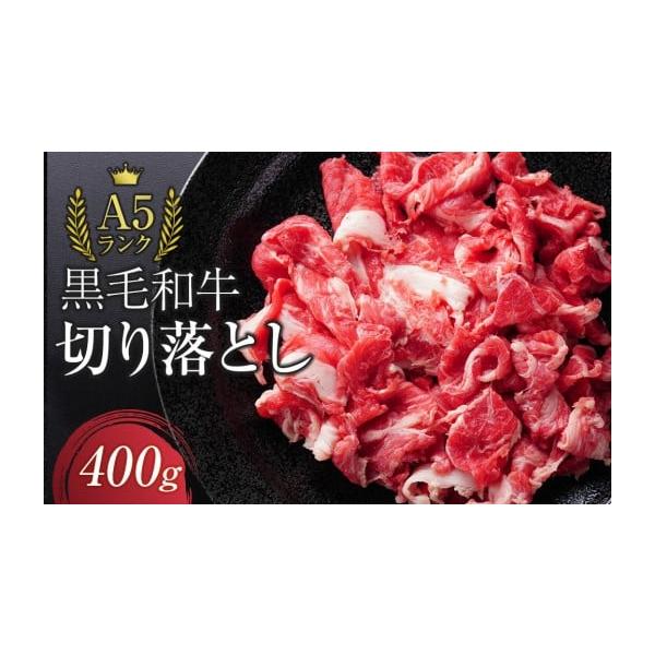 爆安！純国産但馬血統黒毛和牛 切り落とし（筋なし5kg） ふるさと納税 牛肉 静岡県 静岡市 A5ランク黒毛和牛切り落とし400g
