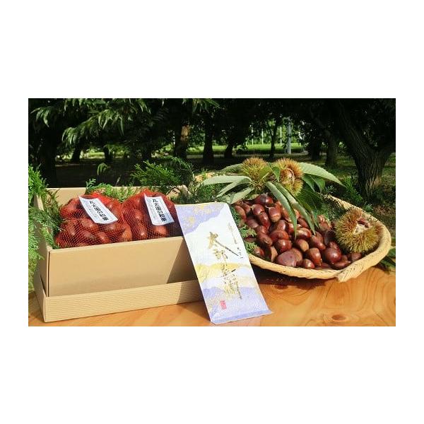 容量追熟和栗：1.8Kg（900g×2）さしま茶：100g消費期限【賞味期限】追熟和栗：出荷日より7日間さしま茶：欄外下部に記載発送期日2025年10月中旬頃より順次発送予定配送冷蔵 別送申込期日〜2025年12月31日事業者丸太園申込条件...