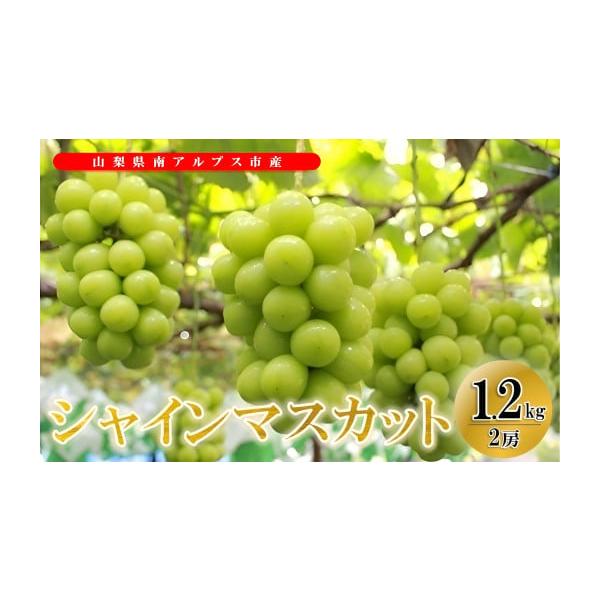 ふるさと納税 山梨県 南アルプス市 5-1 【令和6年9月上旬から10月中旬発送予定】絶品！南アルプ...