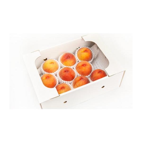 容量約3kg(秀6〜11玉)黄金桃、黄貴妃、滝ノ沢ゴールド、光黄、黄ららの中からいずれかをお届け※品種の指定はできかねます。消費期限1週間程度発送期日2026年8月中旬〜9月中旬【配達】ヤマト運輸配送冷蔵 のし 時間指定 別送申込期日202...