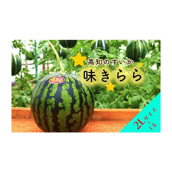容量２Lサイズ　1玉（5.5kg〜6.5kg）消費期限お届けから2週間程度カット後は、お早めにお召し上がりください。発送期日5月初旬〜5月20日頃まで配送常温 時間指定 別送申込期日2026年5月初旬まで申込条件何度も申し込み可、オンライン...