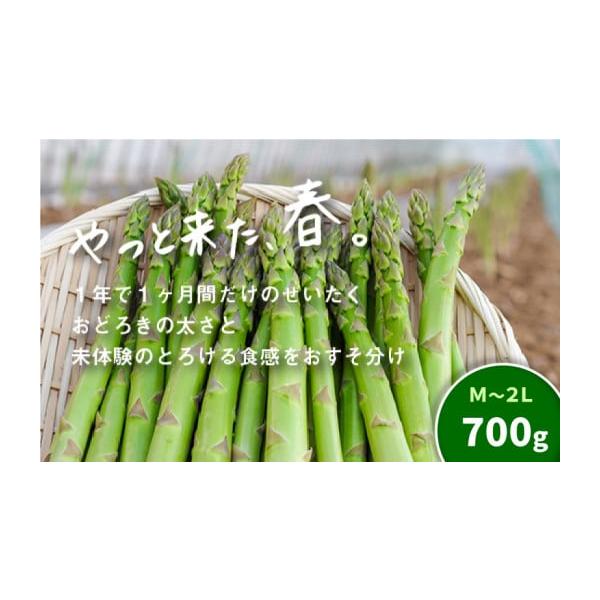 容量グリーンアスパラ　700g相当サイズ　M〜2L※太さ、長さに多少のばらつきがございますので予めご了承ください。消費期限冷蔵庫保管で2日以内発送期日【先行予約品です】2026年4月下旬〜6月※生育状況等により発送時期が前後することがありま...