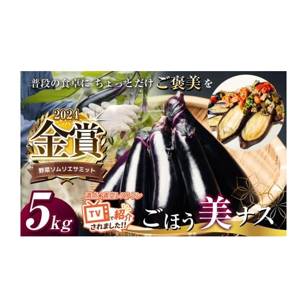 容量1回あたりの内容量　約5kg夏秋ナス(約25-30本) or 長ナス(約21-24本)※ 天候や栽培環境等の影響により、茄子の収穫本数が変動する場合がございます。予めご理解・ご了承いただけますようお願いいたします。消費期限発送日より7日...