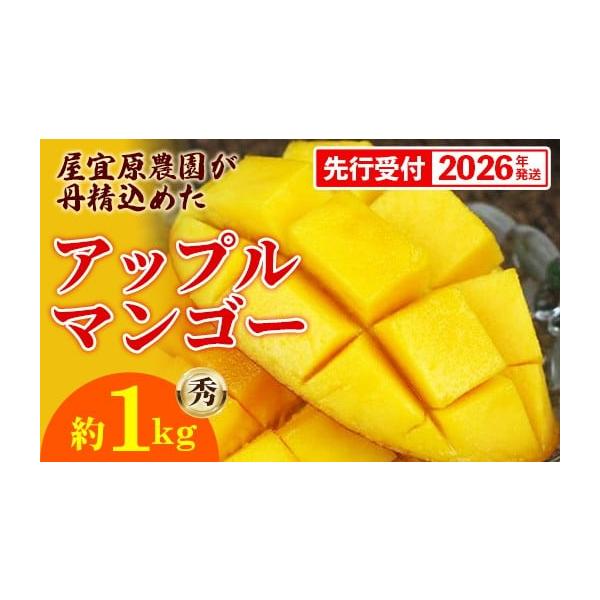 容量完熟アップルマンゴー秀約1kg（2〜3玉）※玉数指定はできません。消費期限青果物のため、早めにお召し上がり下さい。発送期日2026年6月下旬〜7月末頃を予定配送冷蔵 別送申込期日2026年7月15日頃を予定事業者屋宜原農園申込条件何度も...
