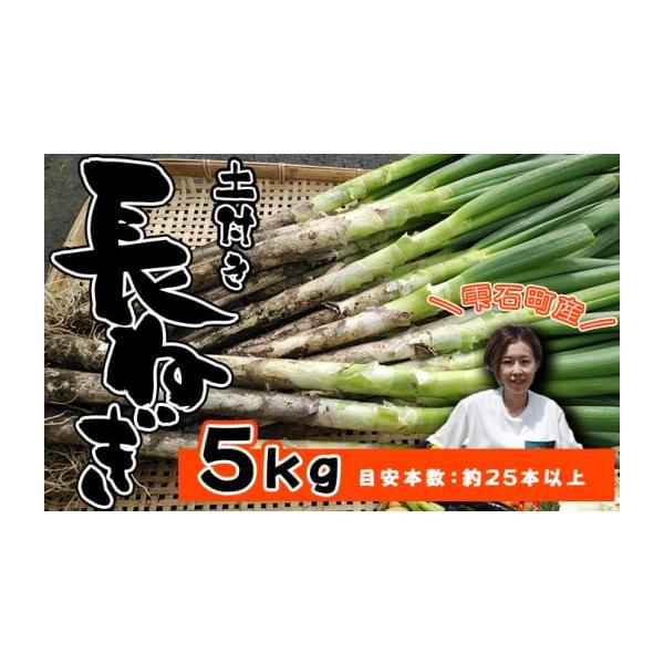 容量5kg以上目安本数：約25本以上※土付きの状態でお送りします消費期限賞味期限：発送日から冷暗所で2ヶ月発送期日寄附納入確認後、1ヶ月以内に発送します。配送冷蔵 時間指定 別送申込期日2025年12月31日まで申込条件何度も申し込み可、オ...