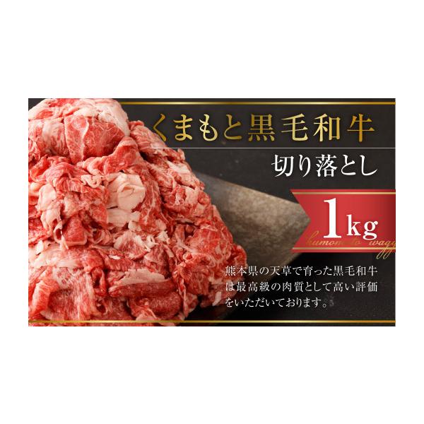 ふるさと納税 牛肉 炒め物 熊本県 熊本市 R8年熊本地震復興支援 くまもと黒毛和牛 切り落とし 計1kg(500g×2パック) 牛肉
