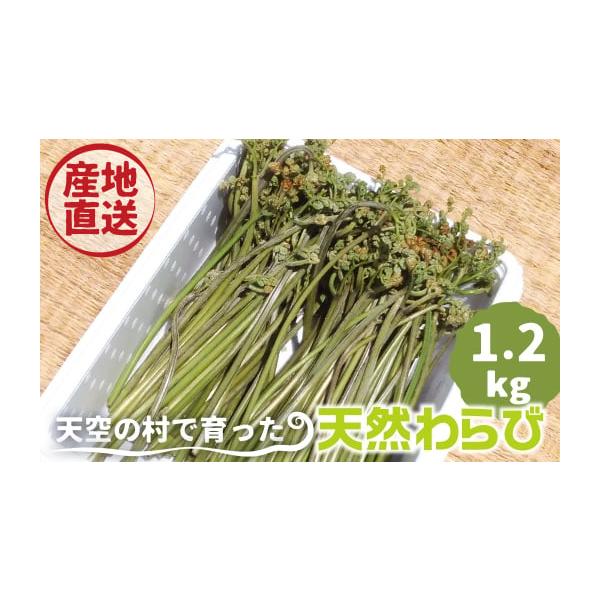容量天然ワラビ　約1.2kg消費期限あく抜きをして約7日発送期日決済完了後、2026年5月上旬収穫次第順次発送（6月中旬頃までに発送完了）配送冷蔵 時間指定 別送申込期日通年事業者なかだファーム申込条件何度も申し込み可
