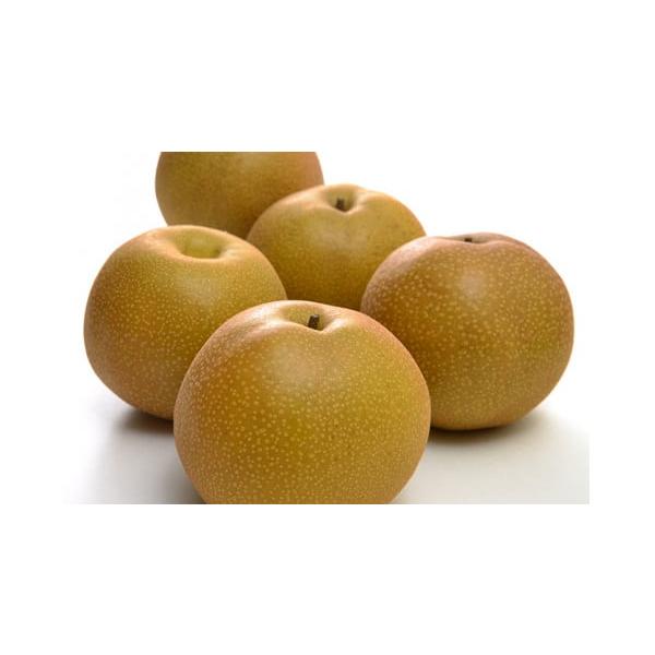 容量幸水 約５kg（15玉前後）消費期限注１：梨農家が選んだ食べごろの梨（贈答用）をお届けいたします。市販品（早もぎ出荷品）に比べ日持ちが短いため、お早目にお召し上がりください。注２：梨は暑さに弱い果物です。お受取りになられましたら冷蔵庫等...