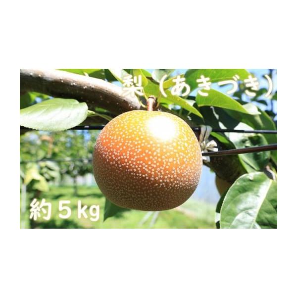 容量あきづき 約５kg（12〜14玉前後）消費期限注１：梨農家が選んだ食べごろの梨（贈答用）をお届けいたします。市販品（早もぎ出荷品）に比べ日持ちが短いため、お早目にお召し上がりください。注２：梨は暑さに弱い果物です。お受取りになられました...