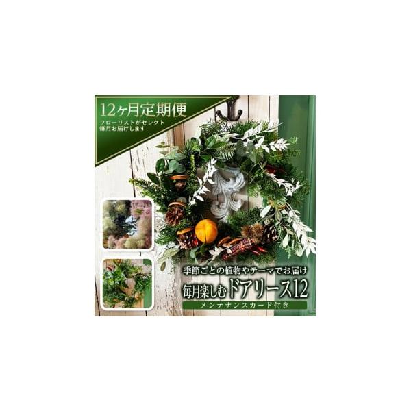 毎月楽しむドアリース12回定期便の魅力を分析