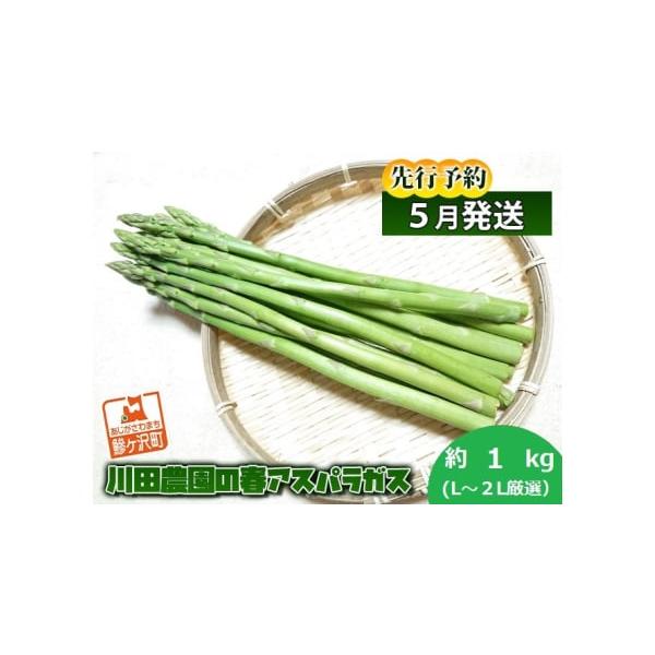 容量春芽グリーンアスパラガス 約1kg、L〜2Lサイズ厳選発送期日2026年5月10日〜2026年6月5日配送冷蔵 別送申込期日2026年5月20日まで事業者川田農園申込条件何度も申し込み可