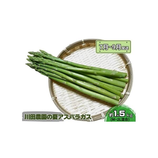 容量夏芽グリーンアスパラガス 約1.5kg+100g、M〜2Lサイズ混合発送期日2026年7月25日〜2026年9月10日配送冷蔵 別送申込期日2026年8月20日まで事業者川田農園申込条件何度も申し込み可