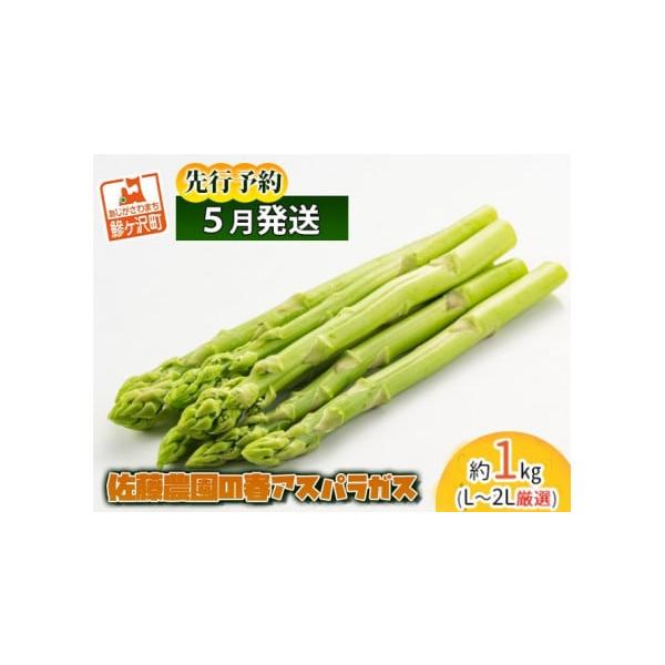 容量春芽グリーンアスパラガス 約1kg、L〜2Lサイズ厳選発送期日2026年5月10日〜2026年6月5日配送冷蔵 別送申込期日2026年5月20日まで事業者佐藤農園申込条件何度も申し込み可