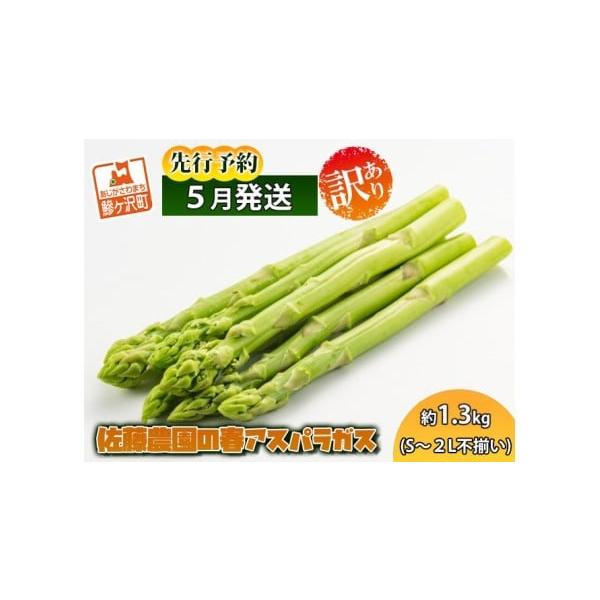 容量春芽グリーンアスパラガス 約1.3kg、S〜2Lサイズ不揃い規格外品発送期日2026年5月10日〜2026年6月5日配送冷蔵 別送申込期日2026年5月20日まで事業者佐藤農園申込条件何度も申し込み可