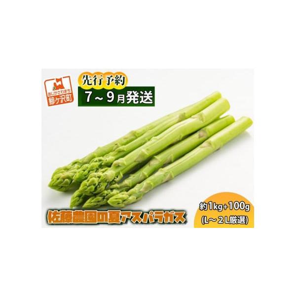 容量夏芽グリーンアスパラガス 約1kg+100g、L〜2Lサイズ厳選発送期日2026年7月25日〜2026年9月15日配送冷蔵 別送申込期日2026年8月15日まで事業者佐藤農園申込条件何度も申し込み可、オンライン決済限定