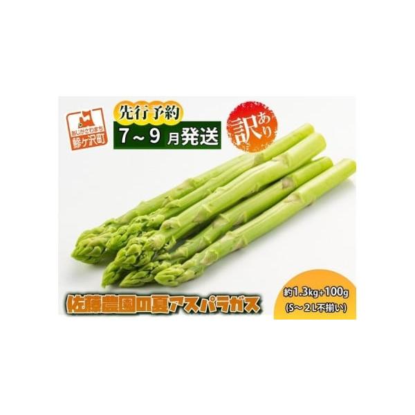 容量夏芽グリーンアスパラガス 約1.3kg+100g、S〜2Lサイズ不揃い規格外品発送期日2026年7月25日〜2026年9月15日配送冷蔵 別送申込期日2026年8月15日まで事業者佐藤農園申込条件何度も申し込み可、オンライン決済限定