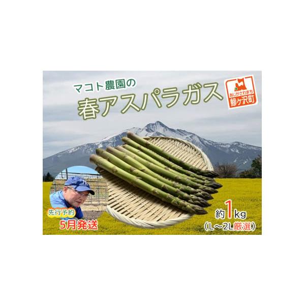 容量春芽グリーンアスパラガス 約1kg（25本前後）、L〜2Lサイズ厳選発送期日2026年5月10日〜2026年6月10日配送冷蔵 別送申込期日2026年5月31日まで事業者マコトアスパラ農園申込条件何度も申し込み可