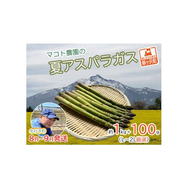 容量夏芽グリーンアスパラガス 約1kg+100g（30本前後）、L〜2Lサイズ厳選発送期日2026年8月1日〜2026年9月10日配送冷蔵 別送申込期日2026年8月31日まで事業者マコトアスパラ農園申込条件何度も申し込み可、オンライン決済限定