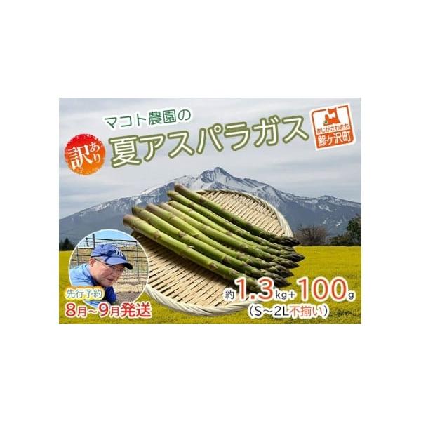 容量夏芽グリーンアスパラガス 約1.3kg+100g（50本前後）、S〜2Lサイズ不揃い規格外品発送期日2026年8月1日〜2026年9月10日配送冷蔵 別送申込期日2026年8月31日まで事業者マコトアスパラ農園申込条件何度も申し込み可、...