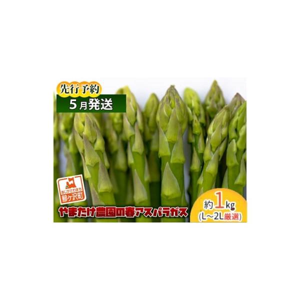 容量春芽グリーンアスパラガス 約1kg、L〜2Lサイズ厳選発送期日2026年5月10日〜2026年6月5日配送冷蔵 別送申込期日2026年5月20日まで事業者やまたけ農園申込条件何度も申し込み可