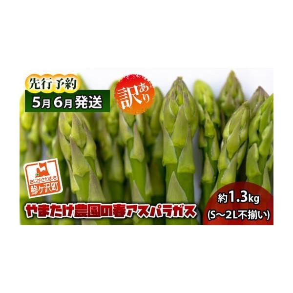 容量春芽グリーンアスパラガス 約1.3kg、S〜2Lサイズ不揃い規格外品発送期日2026年5月10日〜2026年6月5日配送冷蔵 別送申込期日2026年5月20日まで事業者やまたけ農園申込条件何度も申し込み可