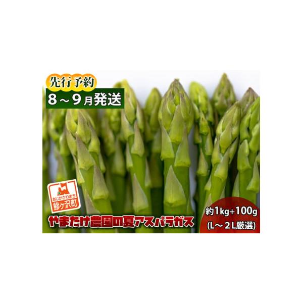 容量夏芽グリーンアスパラガス 約1kg+100g、L〜2Lサイズ厳選発送期日2026年7月25日〜2026年9月10日配送冷蔵 別送申込期日2026年8月20日まで事業者やまたけ農園申込条件何度も申し込み可