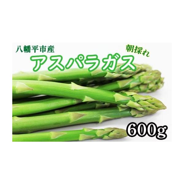 容量【促成栽培】グリーンアスパラガス　200g×3束（品種：スーパーウェルカム）消費期限賞味期限：発送日より約1週間（冷蔵保管）※保存の際は出来るだけ立てて保存してください。※届きましたら、なるべくお早めにお召し上がりください。発送期日寄附...
